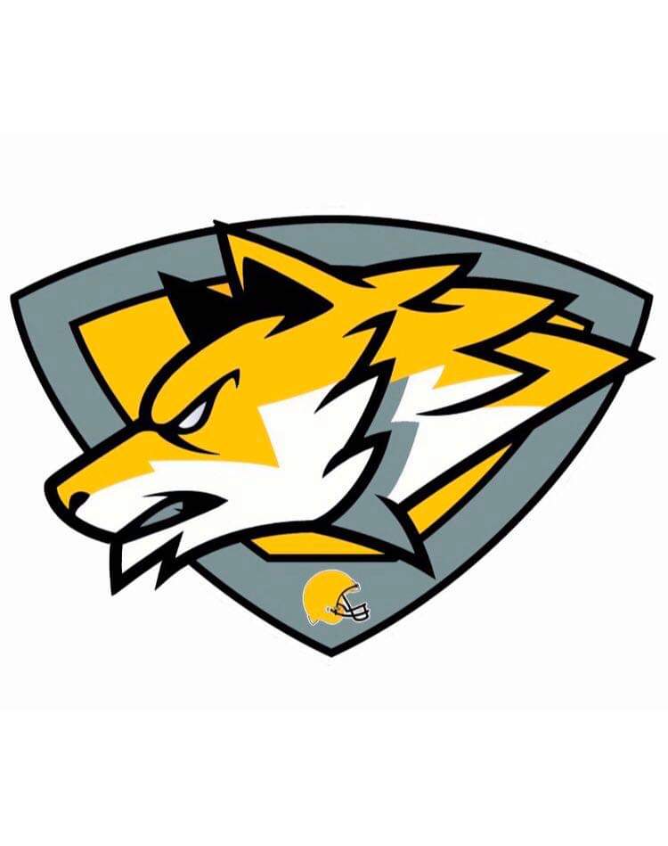 Wolverines Logo